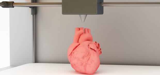 3D Printed heart
