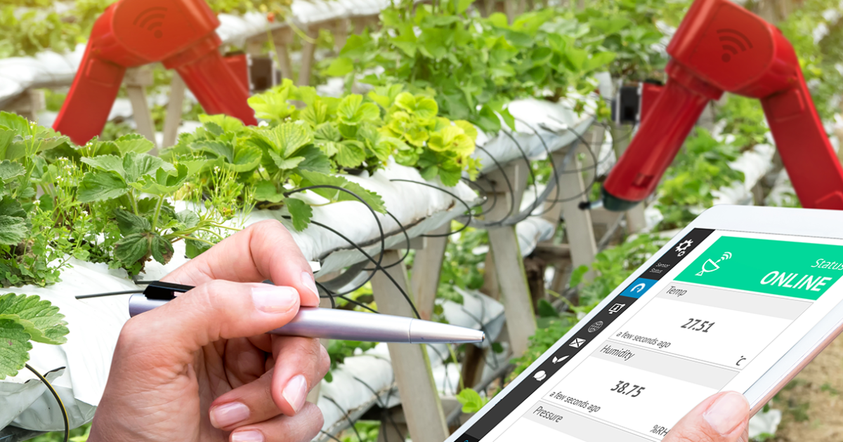 IoT Sensors in Agriculture: An Interview with Adam Drobot - IEEE ...