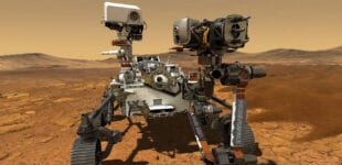 perseverance mars rover