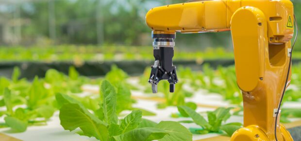 yellow arm Automatic robot mechanical harvesting hydroponics vegetables