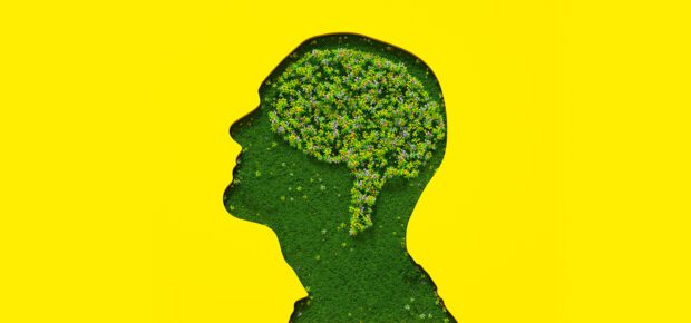 Flowers petals and leaves forming brain shape inside male's head silhouette made out of grass on yellow background.