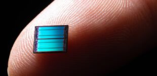 Blue Colored Computer Chip on Tip of Index Finger Against Dark Black Background Extreme Close-up View, Macro Photo.