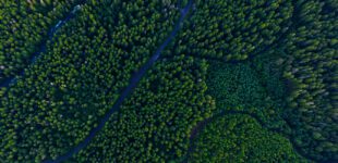 Aerial North Cascades Washington State Forest Trees