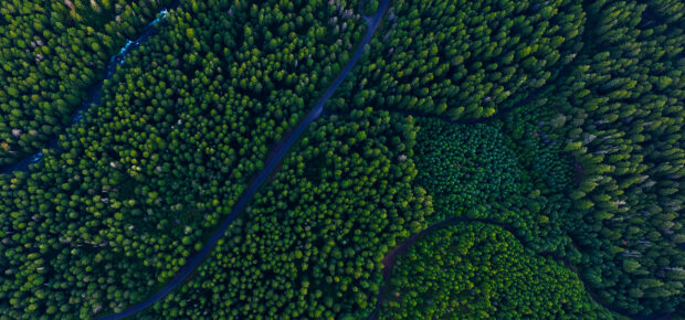 Aerial North Cascades Washington State Forest Trees