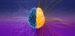 Digital generated image of split net/turbulence structure of artificial intelligence brain on purple surface.